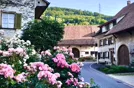 Le Rhin près de Bâle, à la frontière de Bâle-Campagne.