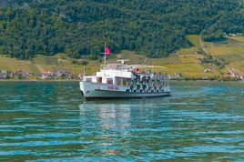Un bateau sur le lac de Bienne devant les vignes.