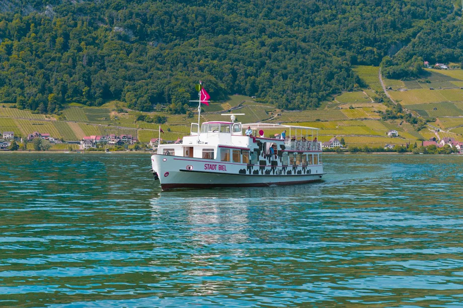Un bateau sur le lac de Bienne devant les vignes.